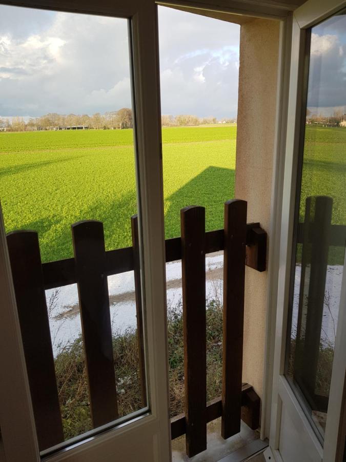 Le Palmier Des Rochers Holiday home Saint-Leonard (Seine-Maritime)
