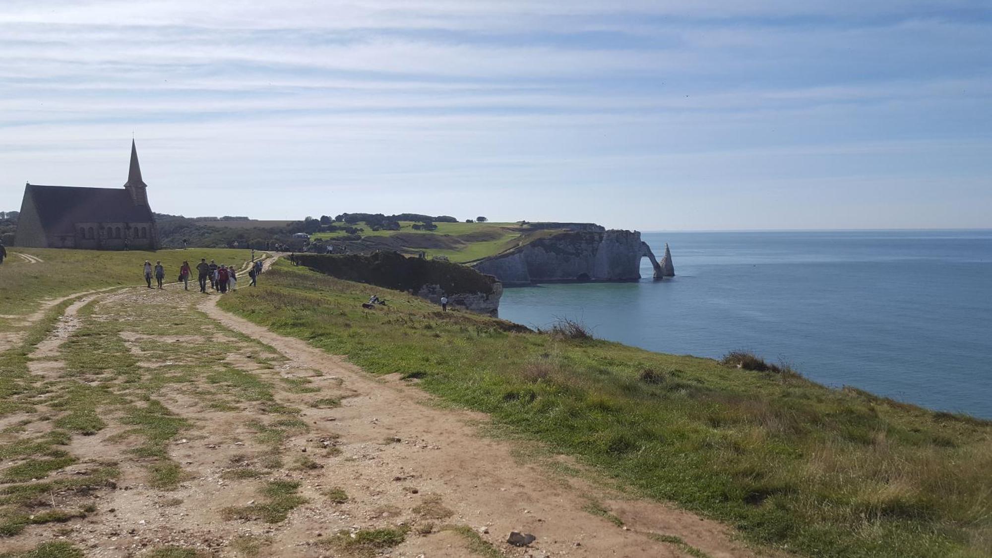 Le Palmier Des Rochers Saint-Leonard (Seine-Maritime)